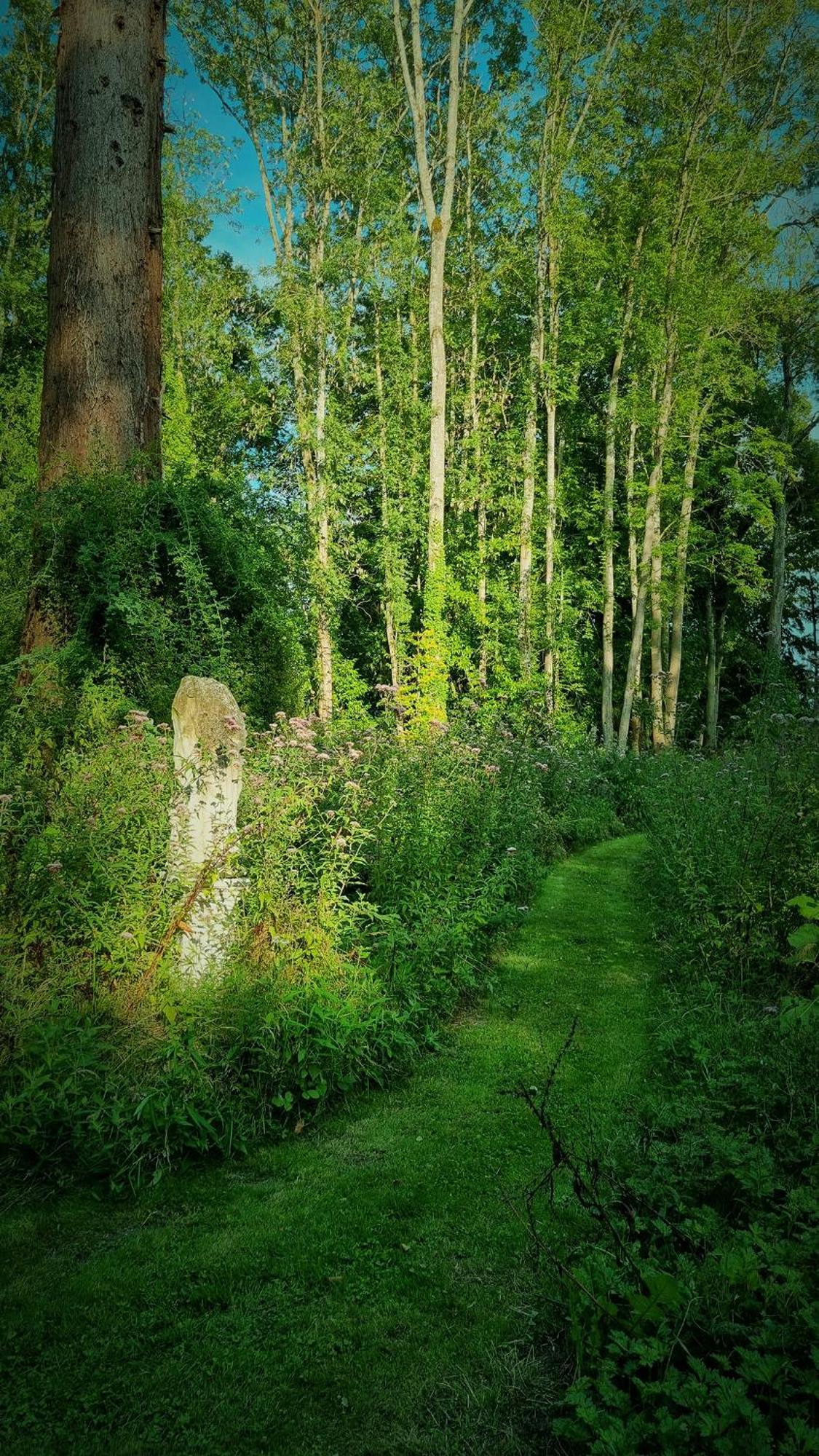 Chateau De Bonneau Suevres Bagian luar foto