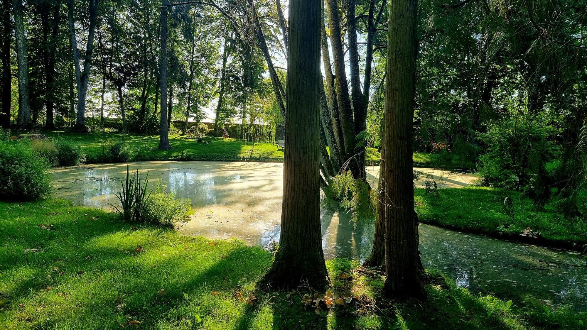 Chateau De Bonneau Suevres Bagian luar foto