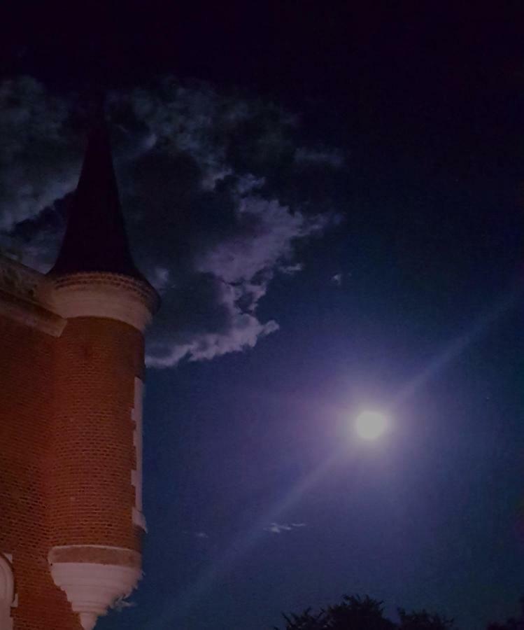 Chateau De Bonneau Suevres Bagian luar foto